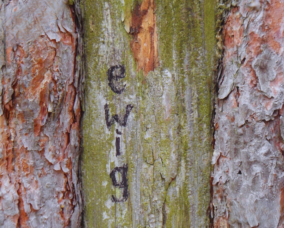 Tiefenpsychologische Psychotherapie