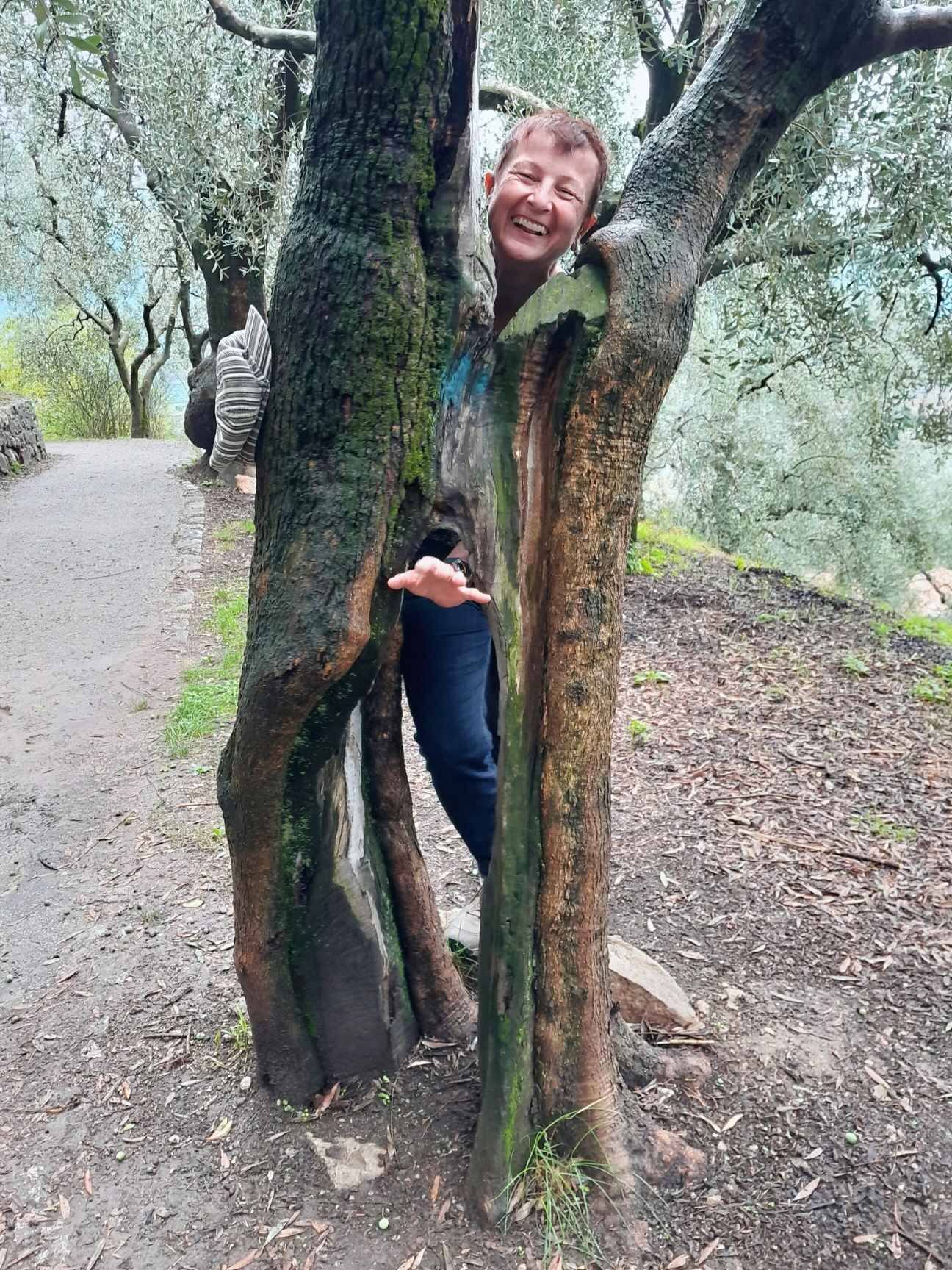 Doris Stöglehner Kontakt