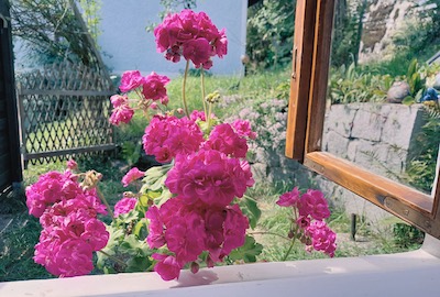 Authentische natürliche Praxis