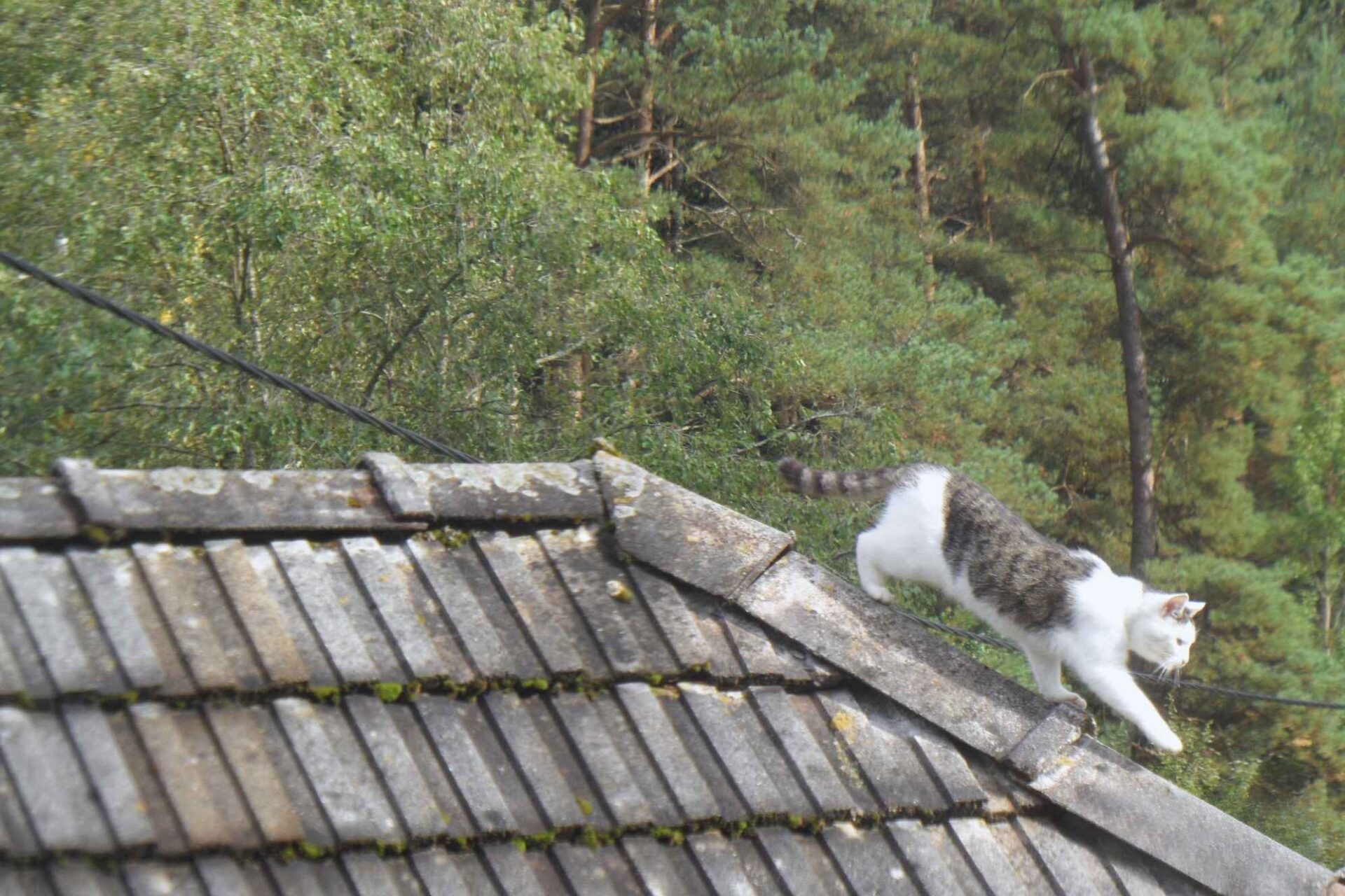 Therapie bringt Freiheit